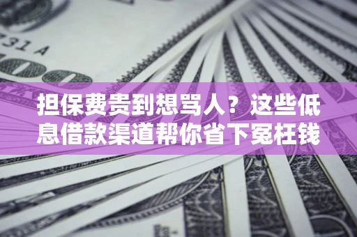 北京担保费贵到想骂人？这些低息借款渠道帮你省下冤枉钱
