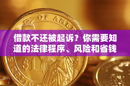 北京借款不还被起诉？你需要知道的法律程序、风险和省钱技巧